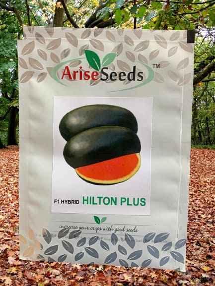 F1 Hybrid Hilton Plus Watermelon Seed Manufacturers in Jaipur Manufacturers in Jaipur