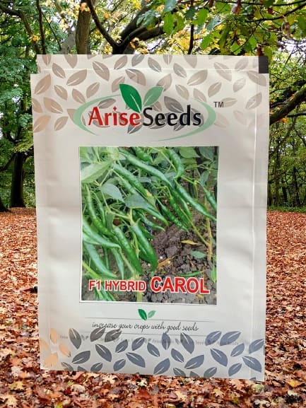 F1 Hybrid Carol Green Chilli Seeds Manufacturers in Jaipur Manufacturers in Jaipur