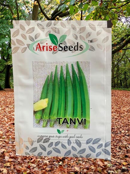 F1 Hybrid Tanvi lady Finger Seeds Manufacturers in Jaipur Manufacturers in Jaipur