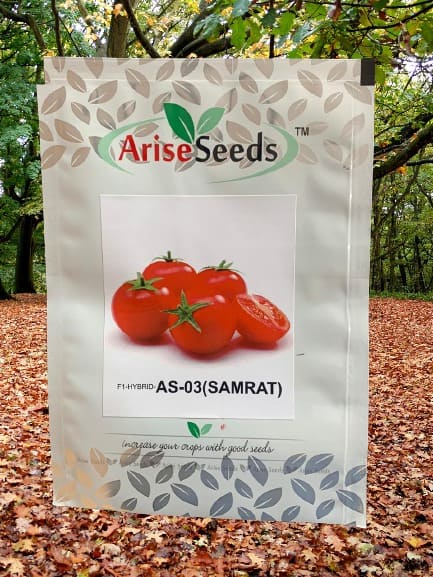 F1 Hybrid AS-03 (Samrat) Tomato Seeds Manufacturers in Jaipur Manufacturers in Jaipur