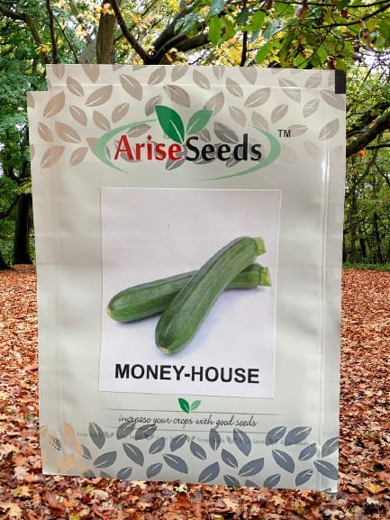 Money - House Seeds Manufacturers in Jaipur Manufacturers in Jaipur