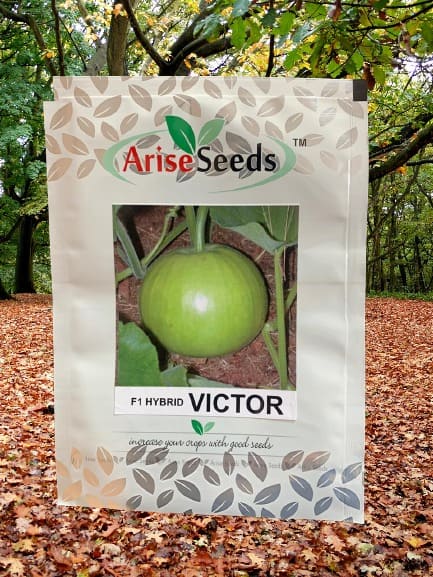 F1 Hybrid Victor Seeds Manufacturers in Jaipur Manufacturers in Jaipur