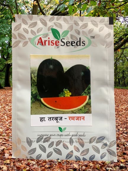 Ramadan Watermelon Seed Manufacturers in Jaipur Manufacturers in Jaipur