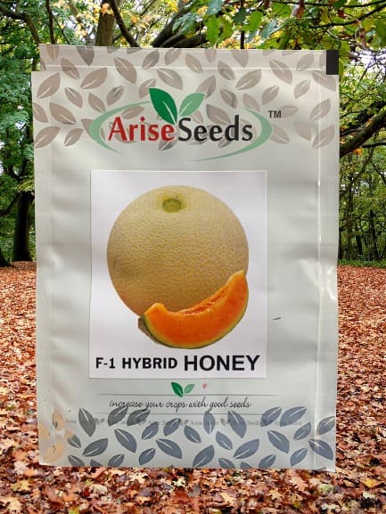 F1 Hybrid Honey Muskmelon Seed Manufacturers in Jaipur Manufacturers in Jaipur