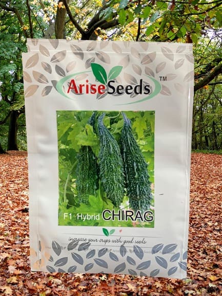 F1 Hybrid Chirag Bitter Gourd Seeds Manufacturers in Jaipur Manufacturers in Jaipur