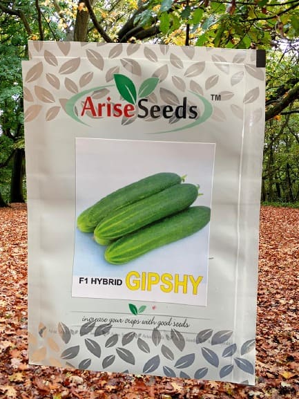 F1 Hybrid Gipshy Cucumber Seeds Manufacturers in Jaipur Manufacturers in Jaipur