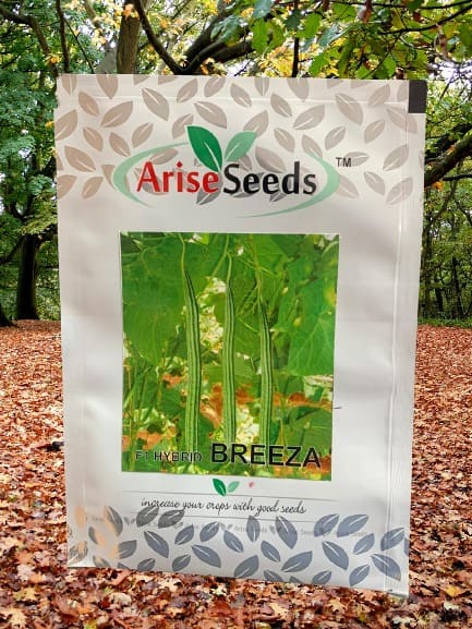 F1 Hybrid Breeza Seeds Manufacturers in Jaipur Manufacturers in Jaipur