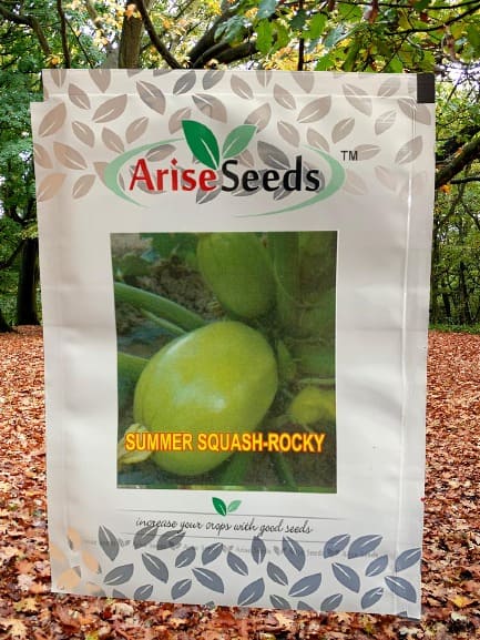 Summer Squash - Rocky Seeds Manufacturers in Jaipur Manufacturers in Jaipur