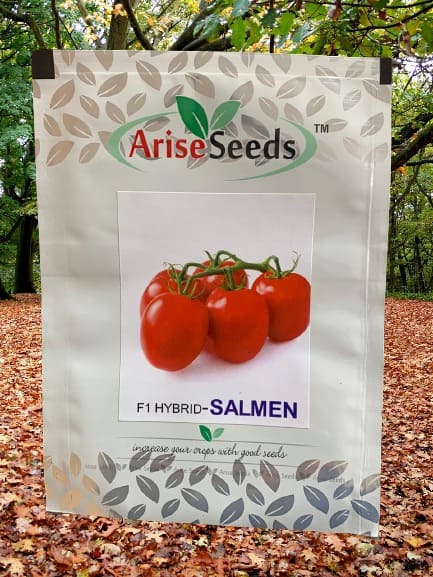 F1 Hybrid Salmen Tomato Seeds Manufacturers in Jaipur Manufacturers in Jaipur