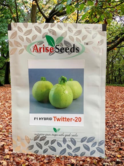 F1 Hybrid Twitter - 20 Seeds Manufacturers in Jaipur Manufacturers in Jaipur