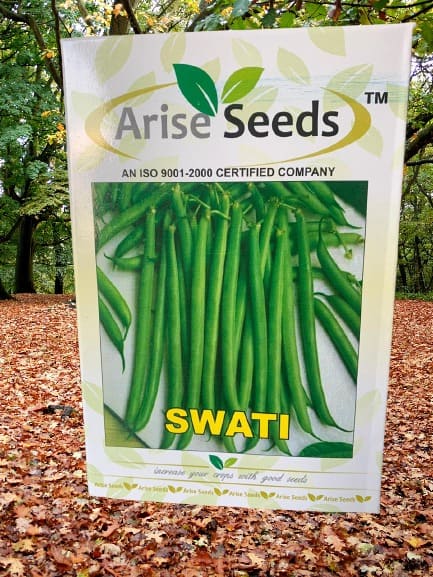 Swati Seed Chilli Seed Manufacturers in Jaipur