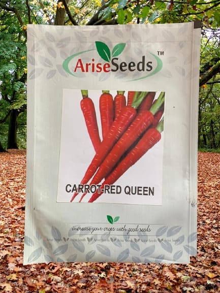 Carrot - Red Queen Carrot Seeds Manufacturers in Jaipur Manufacturers in Jaipur