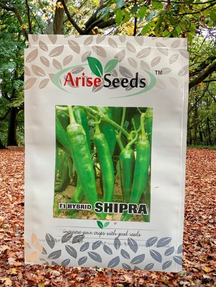 F1 Hybrid Shipra Green Chilli Seeds Manufacturers in Jaipur Manufacturers in Jaipur