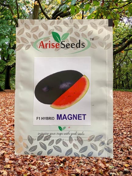 F1 Hybrid Magnet Watermelon Seed Manufacturers in Jaipur Manufacturers in Jaipur