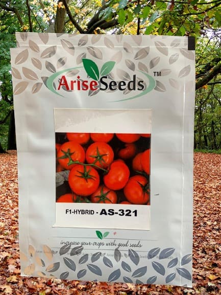 F1 Hybrid AS-321 Tomato Seeds Manufacturers in Jaipur Manufacturers in Jaipur