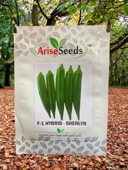 F1 Hybrid Sherlyn Ladyfinger Seeds Manufacturers in Jaipur Manufacturers in Jaipur