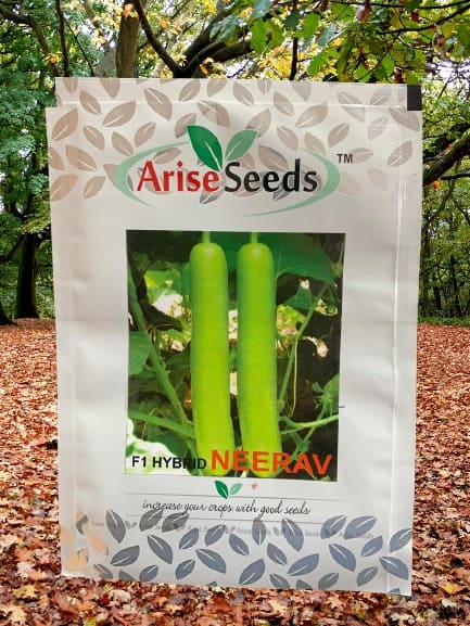 F1 Hybrid Neerav Bottle Gourd Seeds Manufacturers in Jaipur Manufacturers in Jaipur