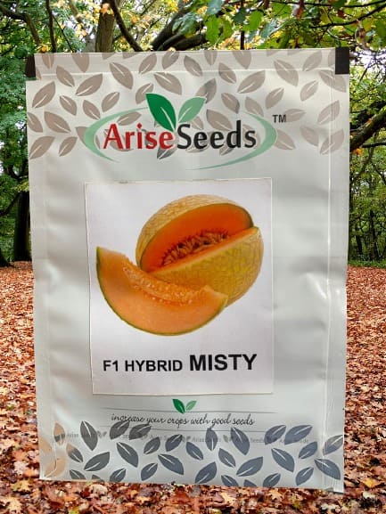 F1 Hybrid Misty Muskmelon Seed Manufacturers in Jaipur Manufacturers in Jaipur