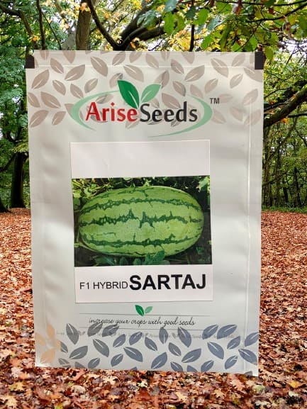 F1 Hybrid Sartaj Watermelon Seed Manufacturers in Jaipur Manufacturers in Jaipur