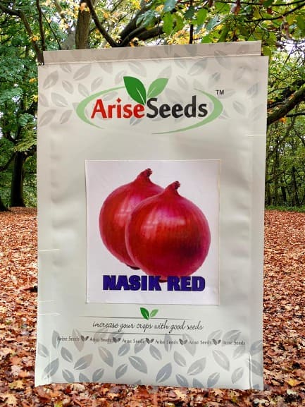 Nashik Red Onion Seeds Manufacturers in Jaipur Manufacturers in Jaipur