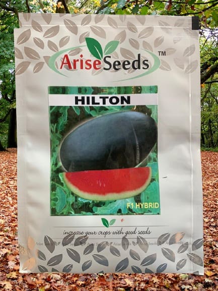 F1 Hybrid Hilton Watermelon Seed Manufacturers in Jaipur Manufacturers in Jaipur