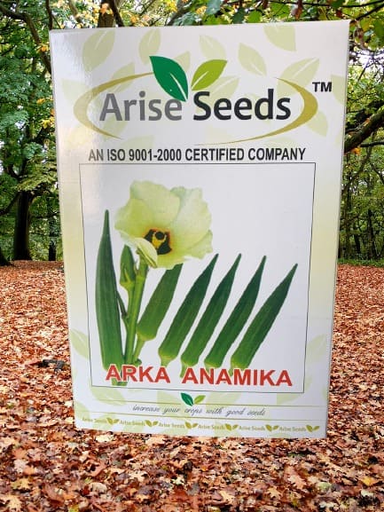 ARKA Anamika Lady Finger Seeds Manufacturers in Jaipur Manufacturers in Jaipur