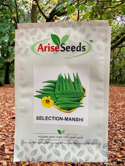 Selection - Manshi Ladyfinger Seeds Manufacturers in Jaipur Manufacturers in Jaipur