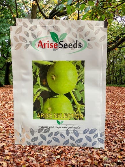 Arise Selection Round Gourd Seeds Manufacturers in Jaipur Manufacturers in Jaipur