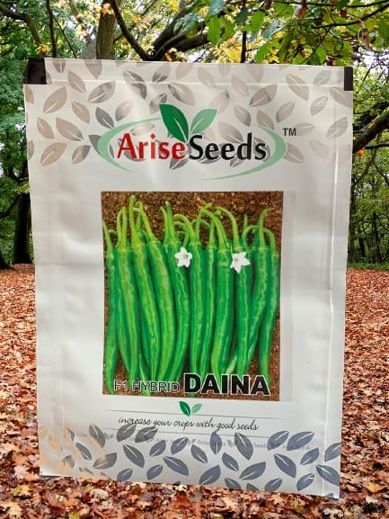 F1 Hybrid Daina Chilli Seeds Manufacturers in Jaipur Manufacturers in Jaipur