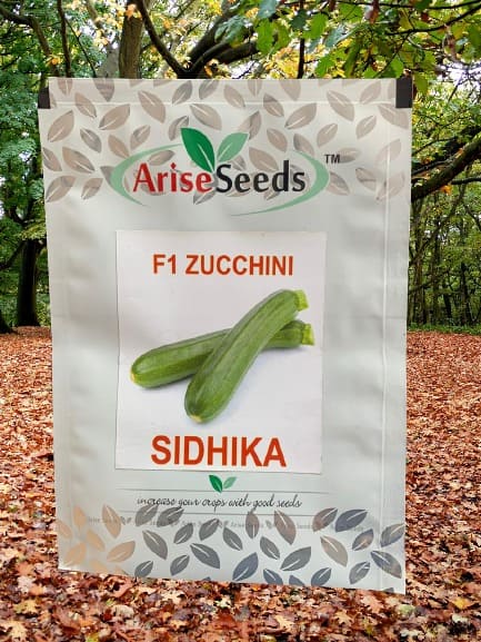 F1 Zucchini Sidhika Seeds Manufacturers in Jaipur Manufacturers in Jaipur