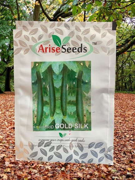 F1 Hybrid Gold Silk Ridged Gourd Seeds Manufacturers in Jaipur Manufacturers in Jaipur