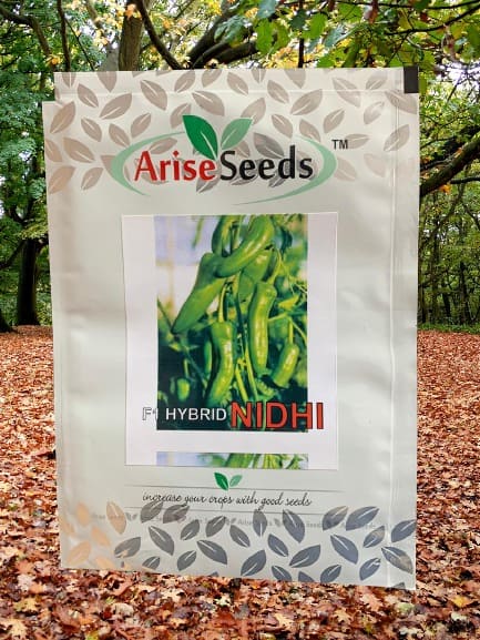 F1 Hybrid Nidhi Green Chilli Seeds Manufacturers in Jaipur Manufacturers in Jaipur