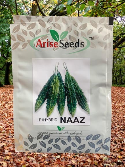 F1 Hybrid Naaz Bitter Gourd Seeds Manufacturers in Jaipur Manufacturers in Jaipur