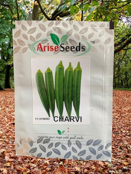 F1 Hybrid Charvi Ladyfinger Seeds Manufacturers in Jaipur Manufacturers in Jaipur