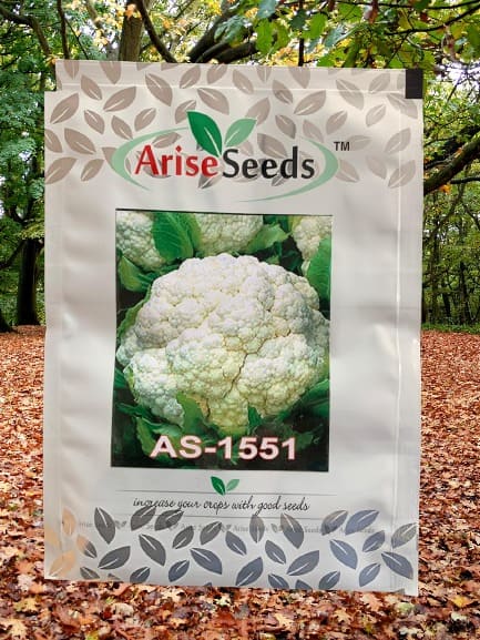 Cauli Flower Seed Manufacturers in Jaipur Manufacturers in Jaipur