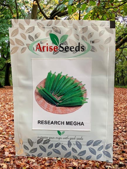 Research Megha lady Finger Seeds Manufacturers in Jaipur Manufacturers in Jaipur