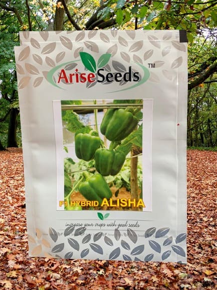 F1 Hybrid Alisha Capsicum Seeds Manufacturers in Jaipur Manufacturers in Jaipur