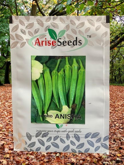 F1 Hybrid Anisha Lady finger Seeds Manufacturers in Jaipur Manufacturers in Jaipur