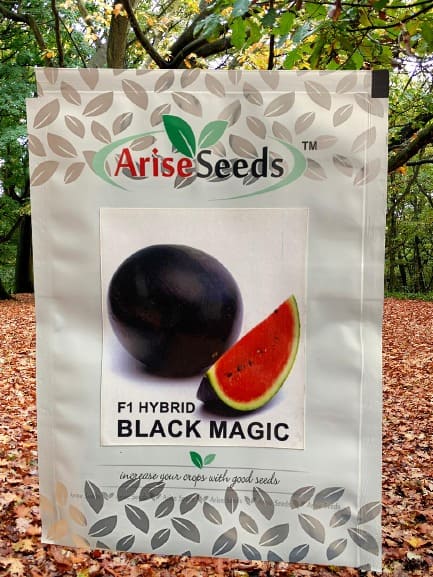 F1 Hybrid Black Magic Watermelon Seed Manufacturers in Jaipur Manufacturers in Jaipur