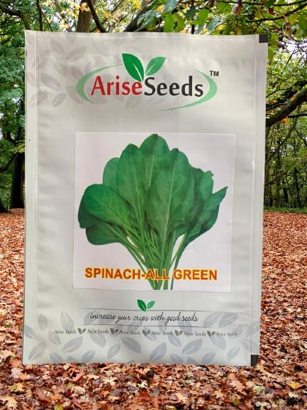 Spinach - All Green Seeds Manufacturers in Jaipur Manufacturers in Jaipur